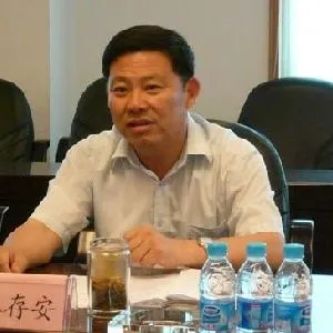 林存安