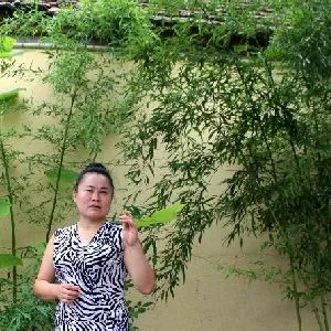 李水云