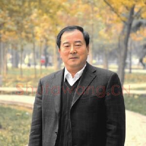 王顶岐