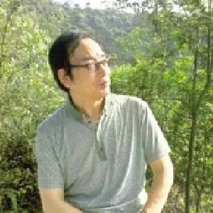 宋武征