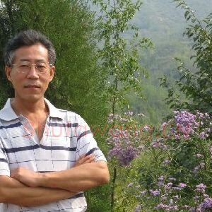芝光林