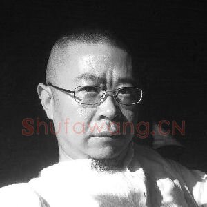 单震宇