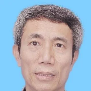 陈维