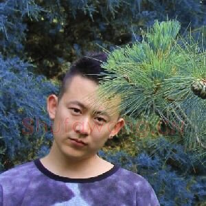 杨晓星