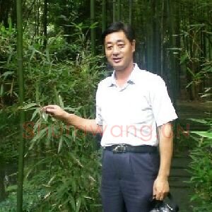 戚文义
