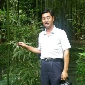 戚文义