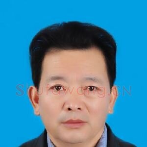 马笑蕾