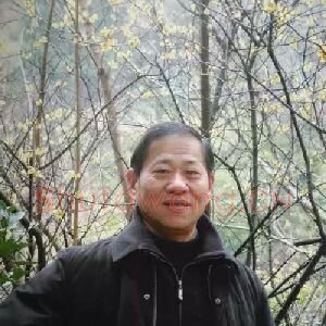 丁世弼