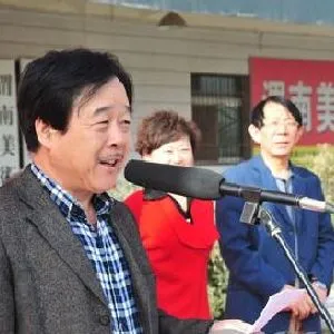 王鸣放