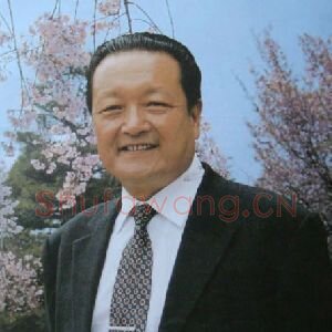 康金成
