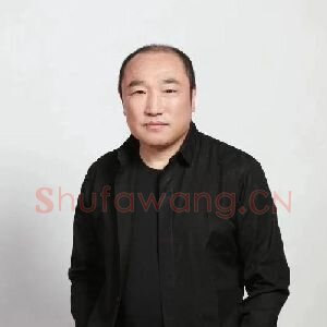 卢禹舜