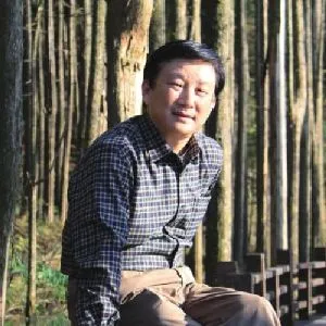 丁力