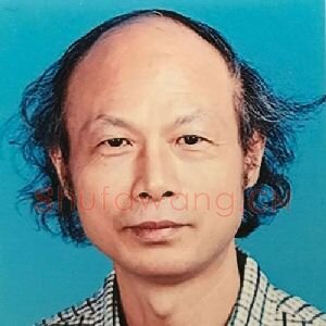 房林