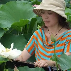 陈宣羽