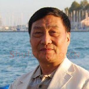 王振华
