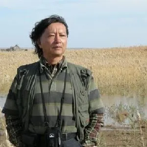 郑冰