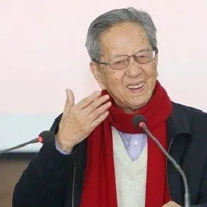 杨辛
