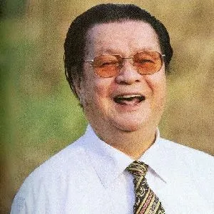 叶绿野