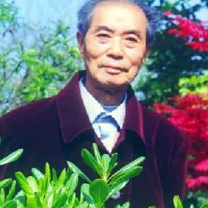 金家骐