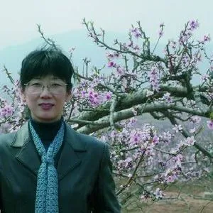 张爱惠