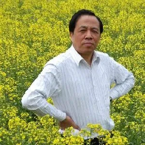 常树森