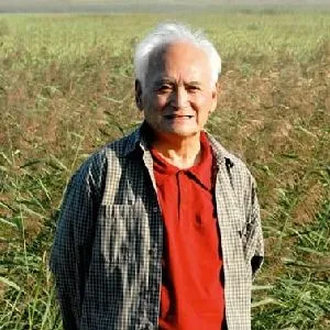 晁楣