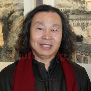 赵金平