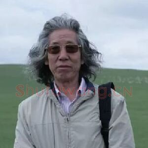 王梦湖