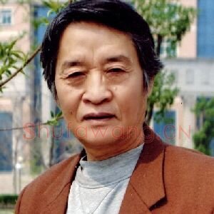白显文