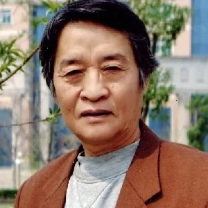 白显文