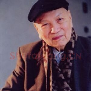 蔡迪支