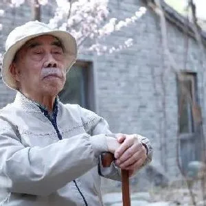戴泽