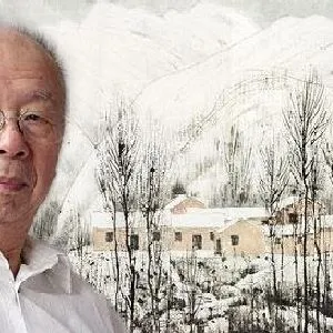 张仁芝