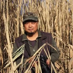 张禾