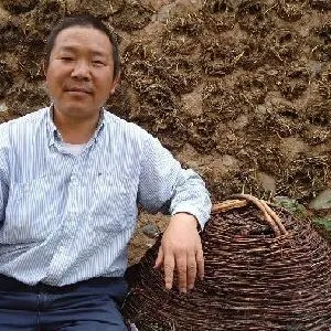 张洪春