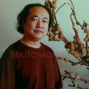 徐鸿儒