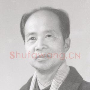 沈涛