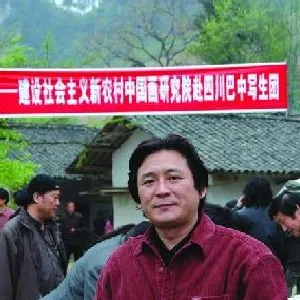 张星