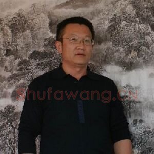 高术平