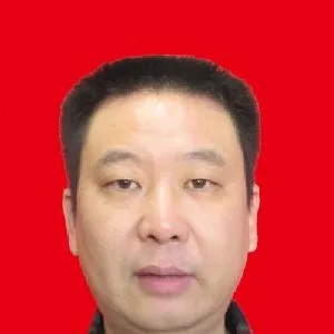 杜峰