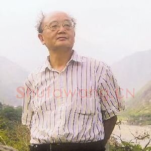 秦大虎