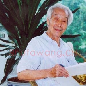 阳太阳