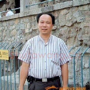 鲁力
