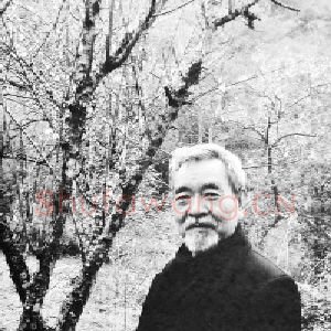 张治安