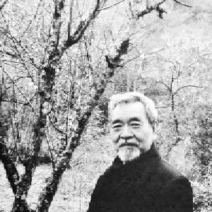 张治安