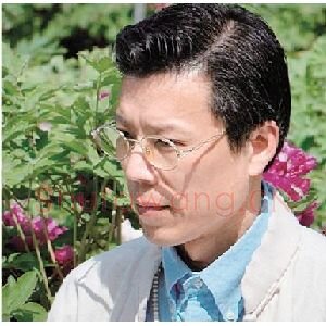 杜尾顽