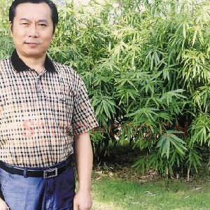 李德甲