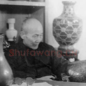 李芝卿