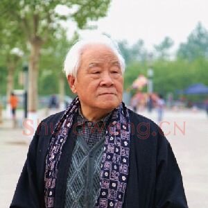 张辛国