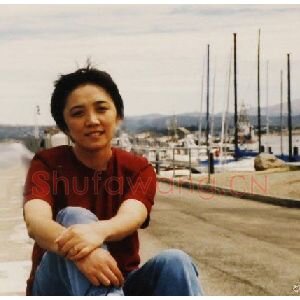 宋冰岸
